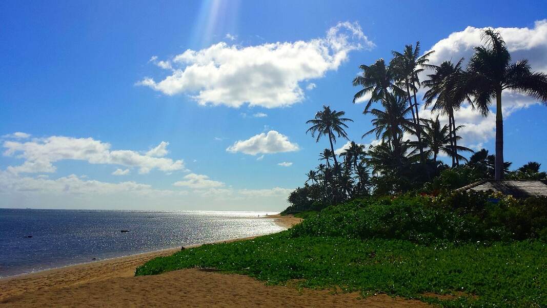 Hawaiian Islands