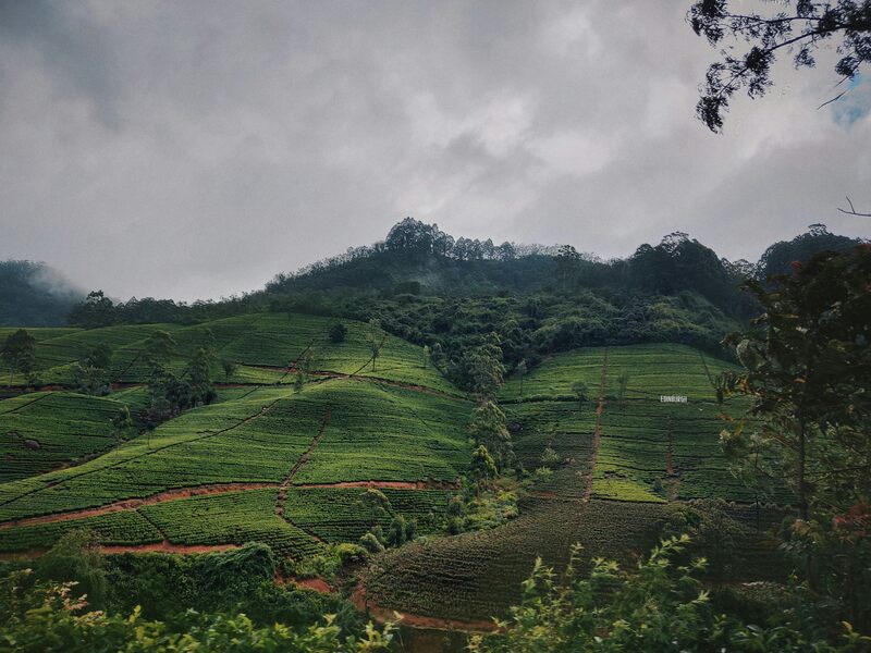 Sri Lanka