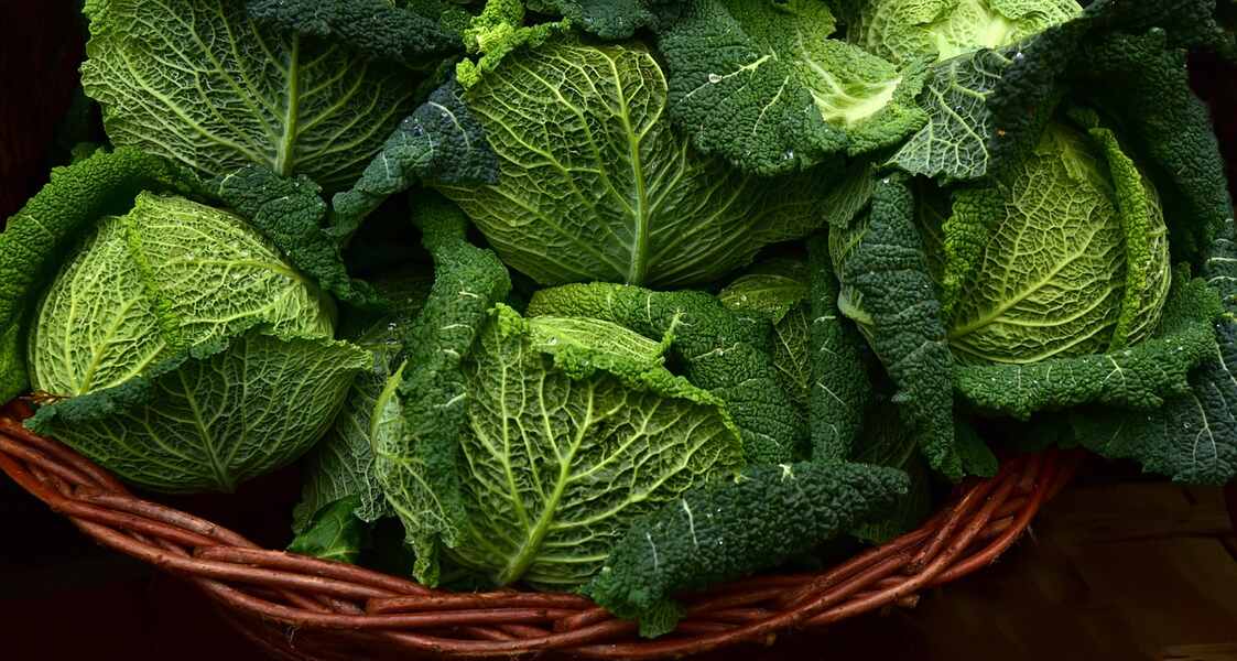 Green Leafy Vegetables