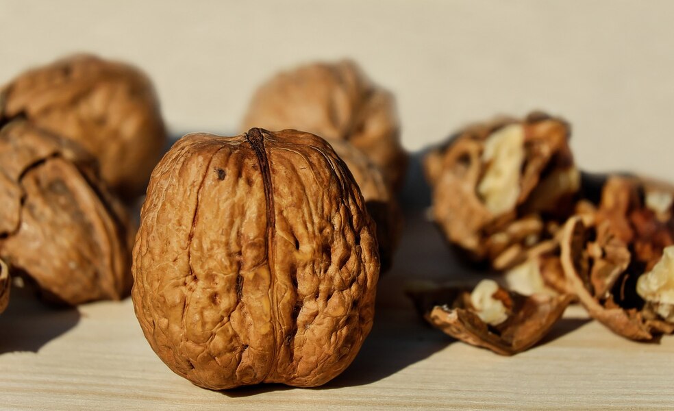 Nuts and Walnuts