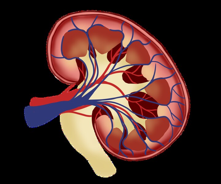 low functioning kidney symptoms